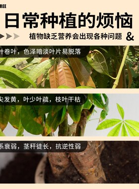发财树专用营养液家用肥料黄叶枯叶烂根专用药发财树复活液生根水