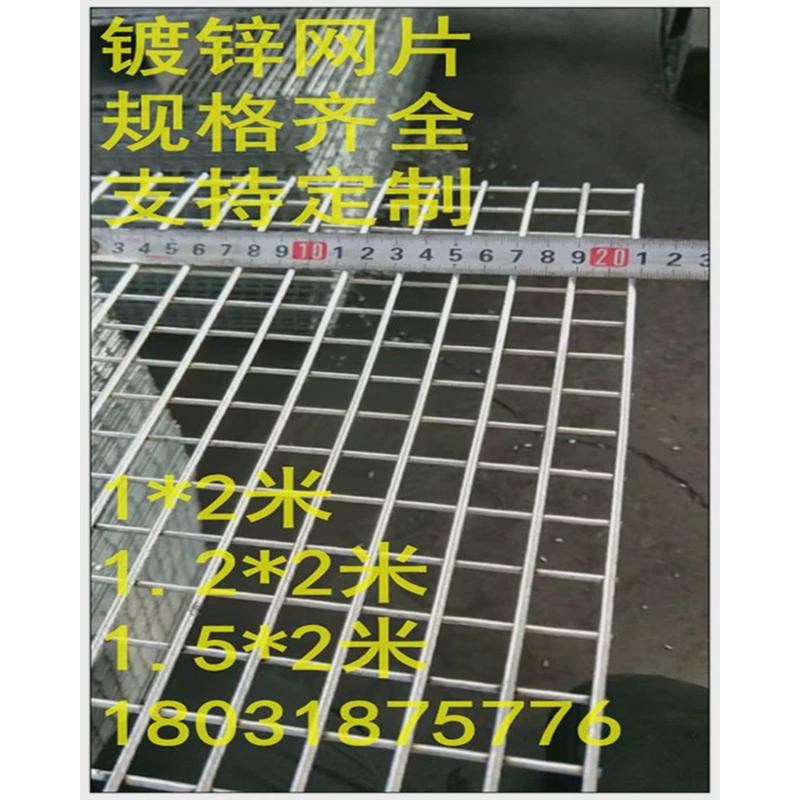 加粗围网铁丝网围栏狗笼子建筑隔离防护电焊网片鸽舍镀锌网片新款