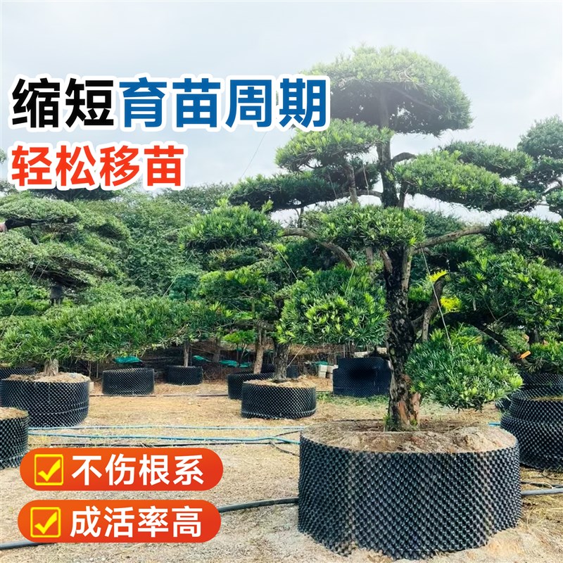 控根器育苗植树专用阻根板高培围网花盆加高围圈种树袋加厚美植袋