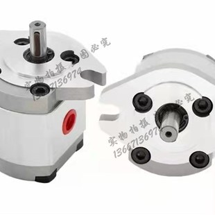 F23R F11R F8R HGP F5R F4R 油泵HGP 齿轮泵