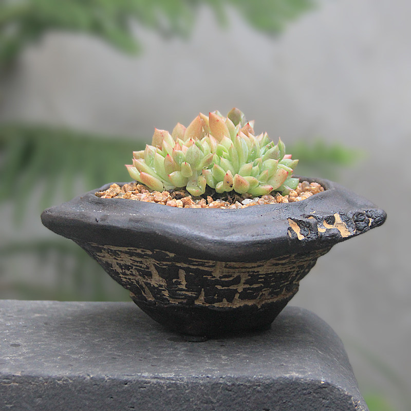 飞碟盆 精品高端花器多肉复古粗陶全手工划纹古朴创意透气简洁花