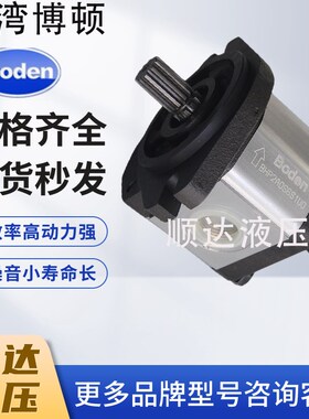 Boden博顿BHP2.5A1D30C1F1/D45/D32/D36/D38/D40/D44/D25C1F1油泵