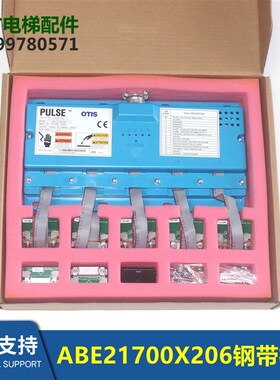 钢带检测装置ABA/ABE21700X17  ABE21700X206  30MM*2*32KN