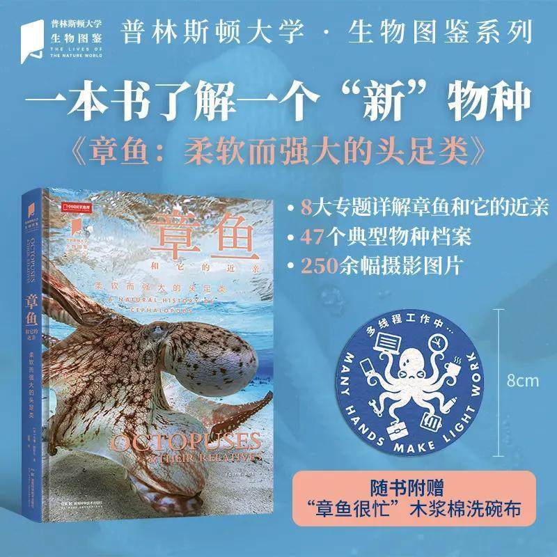 普林斯顿大学生物图鉴:章鱼