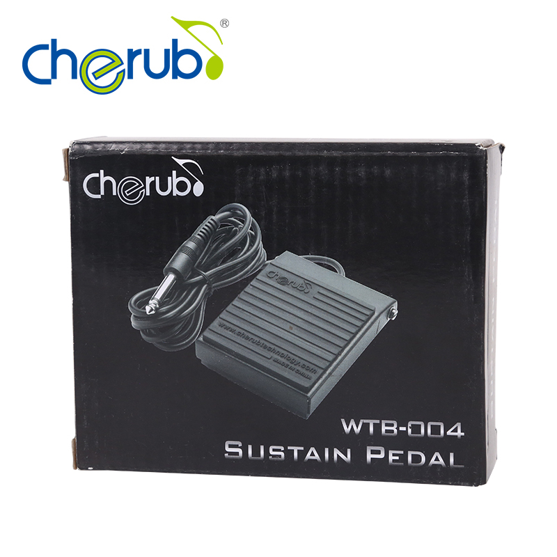 W004电钢琴电子琴midi键盘通用延音踏板