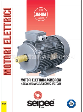 SEIPEE制动电机ZKF80B4/0.75KWB5 意大利SEIPEE马达