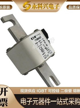 巴斯曼快速熔断器保险170M4266/4267/4268/4269/5258/5259/5260