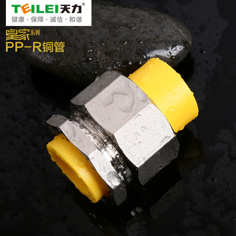 天力ppr水管管材配件皇家铜芯管冷热水管配件4分6分双承口活接头