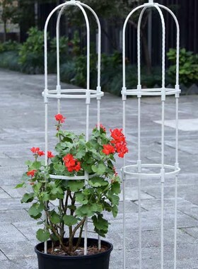 U型8mm月季攀爬植物组合架室外白色支架家用爬藤架园艺简易绿植