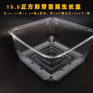 正方形芽菜盒15.515.58芽菜种植盒带漏水孔豆苗盒豆芽种植