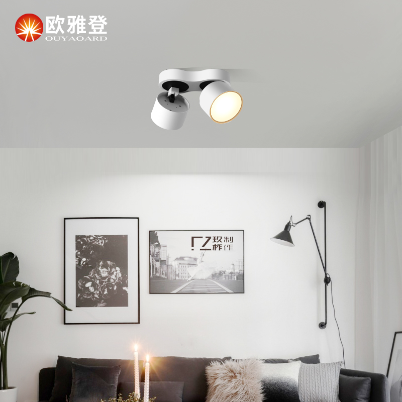 明装双头筒灯led天花灯走廊过道斗胆灯客厅吸顶吊顶可折叠射灯