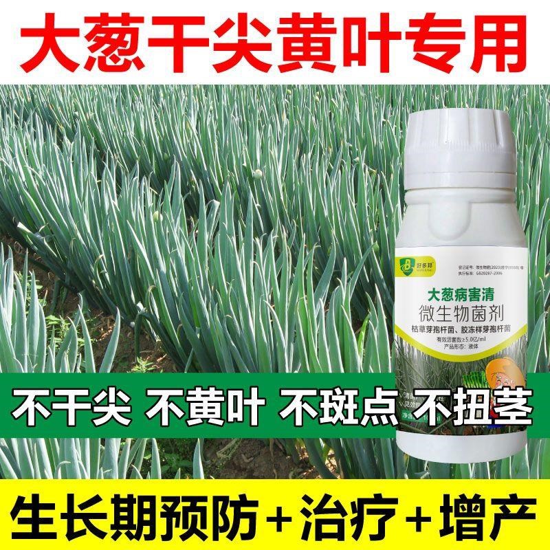 大葱病全治大葱剂灰霉病w叶枯疫病根腐病锈病黑斑病紫斑病
