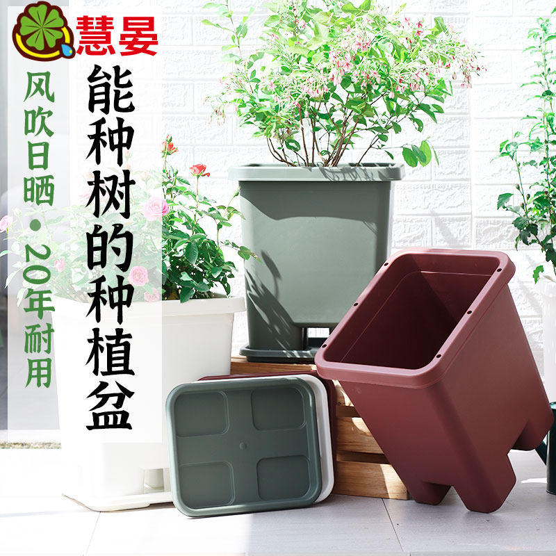 家用阳台种树专用箱懒人塑料花盆自吸水盆栽果树花卉种菜植箱室外