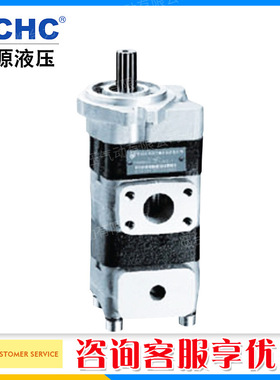 正品原装合肥长源CBKL-G/G齿轮泵油泵量大从优