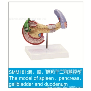 SMM系列促销模型