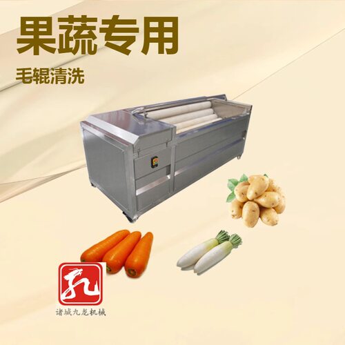 红薯清洗去皮机多功能水果蔬菜去杂一体机毛辊清洗机厂家供应