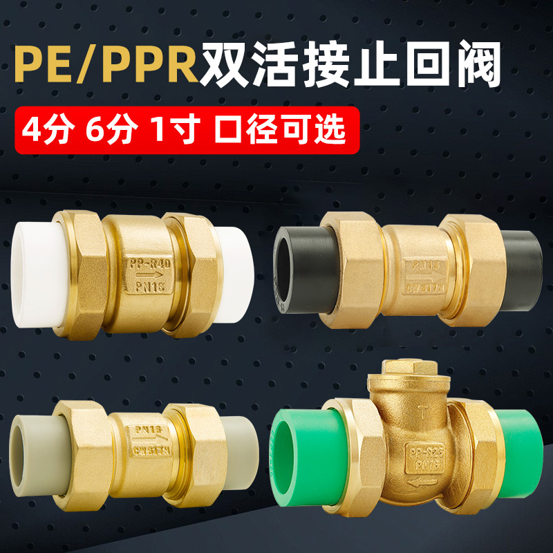 6分25PPR热熔止回阀黄铜卧立式逆止4分20PPRR双活接自来水管单向