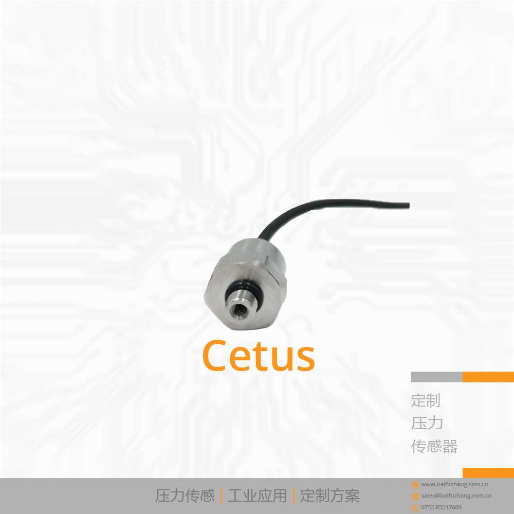 德国Senturio检漏仪、真空环境测量微压正负压等压力变送器Cestus
