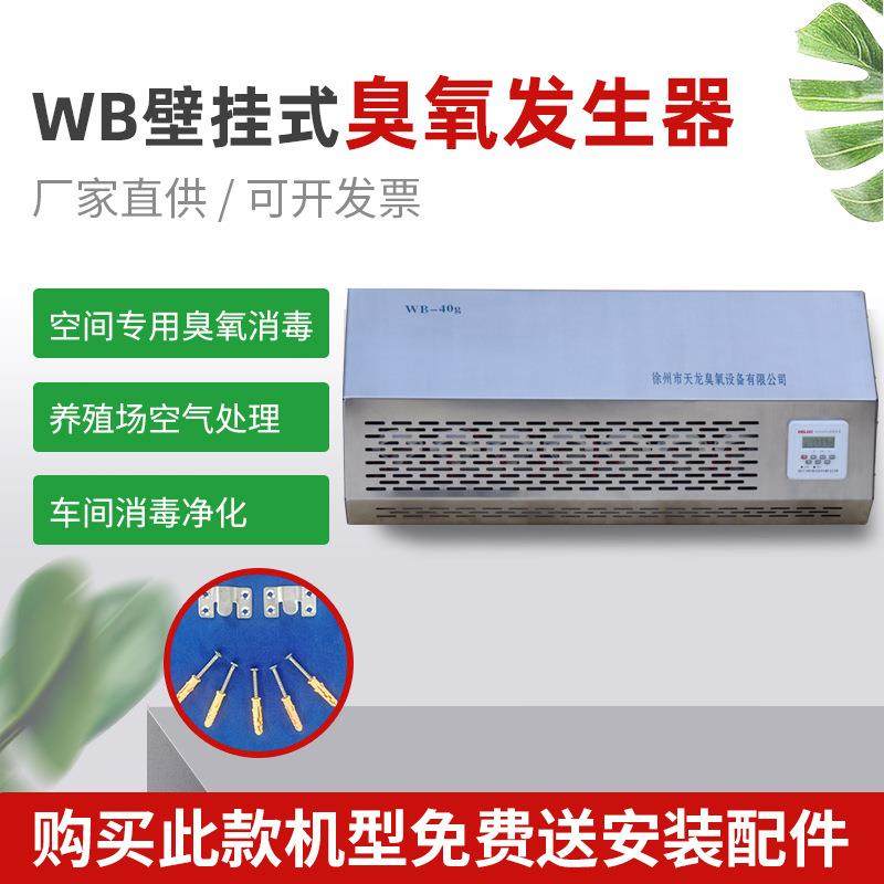 WB壁挂式臭氧设备一体式臭氧设备臭氧机工业废气处理臭氧发生器