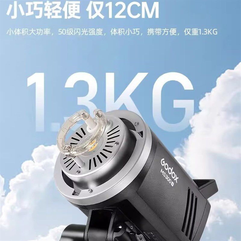 Godox神牛MS200V/MS300V影棚闪光灯小型便携内置无线系统保容卡口