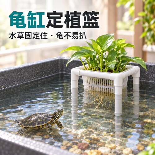 定植篮鱼缸水培植物造景水草龟缸