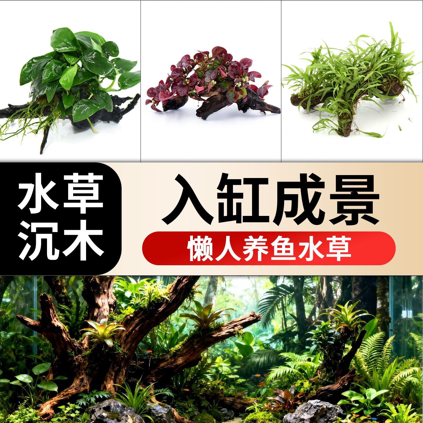 水榕沉木水草水榕鱼缸水培植物生态造景制氧懒人养鱼专用好养易活,宠物/宠物食品及用品,水草,淘宝优惠券,粉丝福利购,淘宝优惠卷