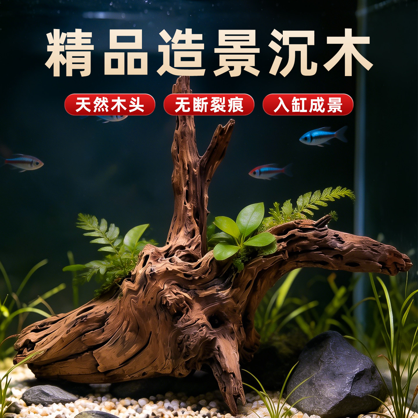 鱼缸造景沉木杜鹃根沉底晒台躲避图片