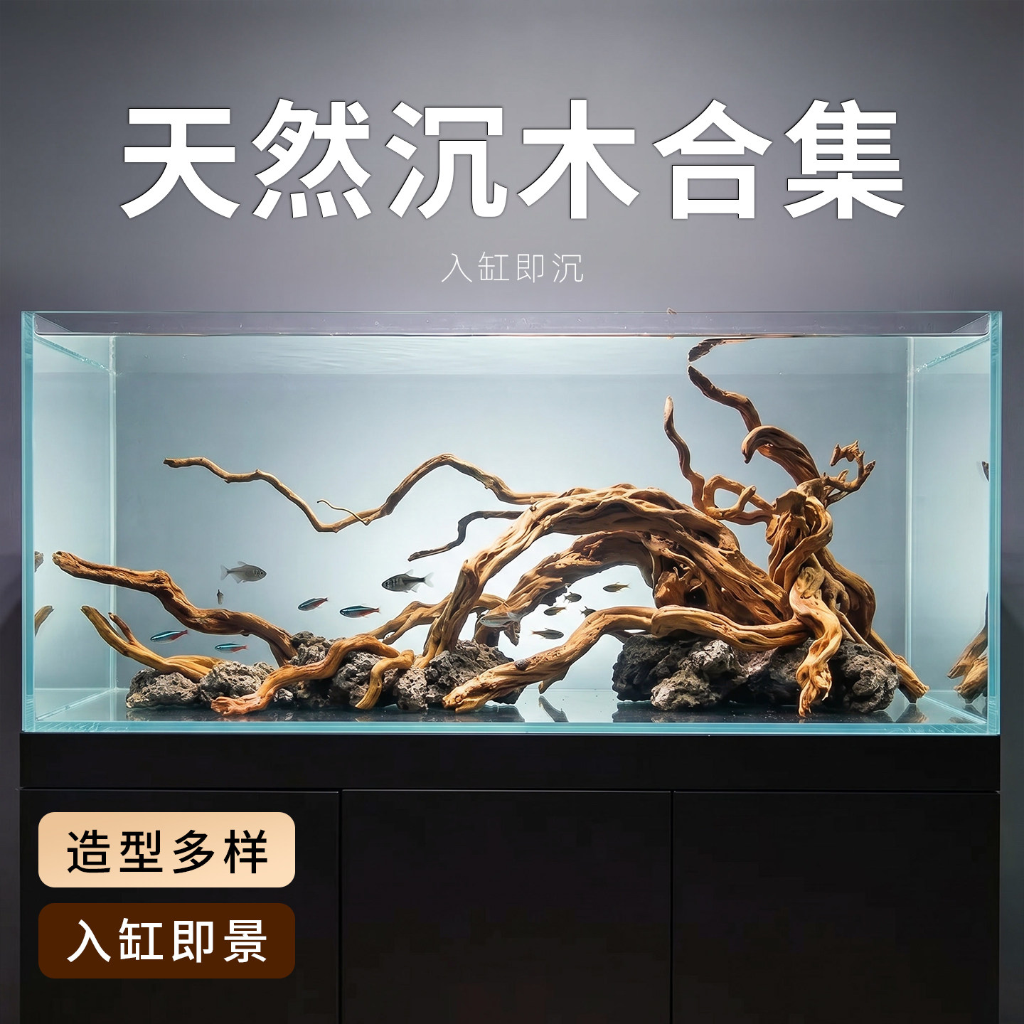 鱼缸沉木造景专用杜鹃根紫柚木水草躲避树桩一木成景天然乌龟晒台