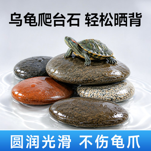 乌龟缸爬台晒背天然光滑圆润
