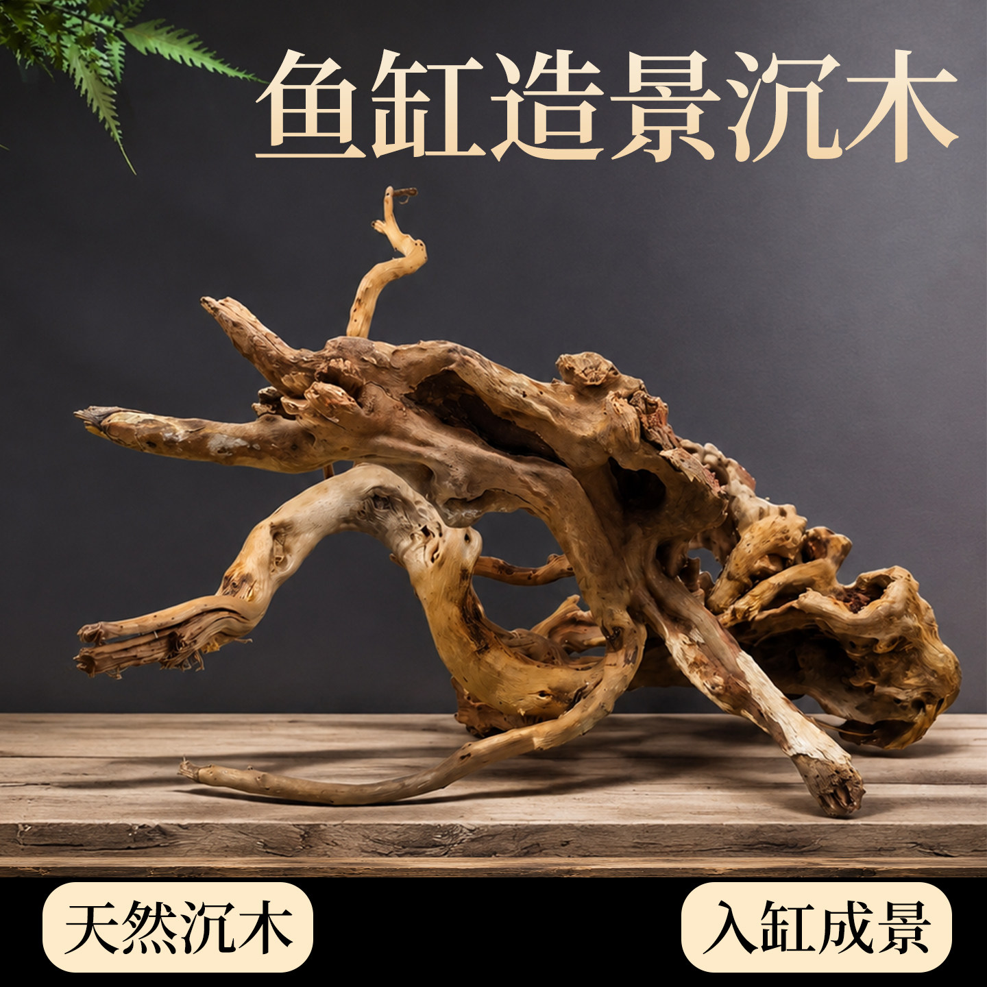 沉木鱼缸造景专用紫柚木杜鹃根沉底天然新手乌龟晒台躲避树桩摆件