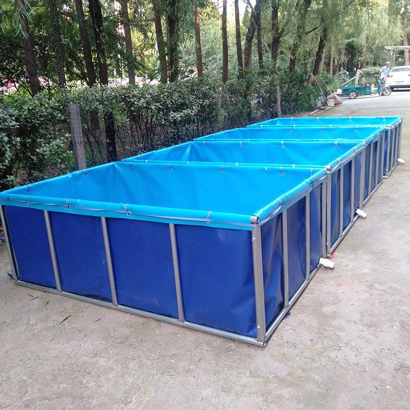 定制支架泳池养殖帆布鱼池锦鲤苗繁殖箱设备大型游泳池组装