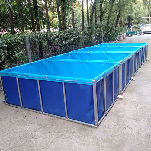 定制支架泳池养殖帆布鱼池锦鲤苗繁殖箱设备大型游泳池组装