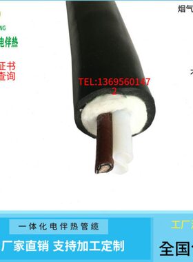 伴热采样管BWG-F-8*1*2 220V/60W 伴热采样管伴热复合管伴热管线