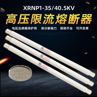 0.5A 31.5KA XRNP1 3.15A高压限流熔断器25 40.5KV 465
