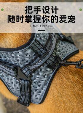 宠物用品狗狗胸背带透气绳反光网布引狗QAC套装中小型犬遛狗猫牵