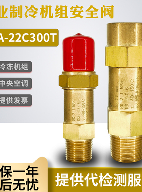 冷冻机组安全阀SFA-22C300T14工业中央空调泄压阀T10冷凝蒸发器