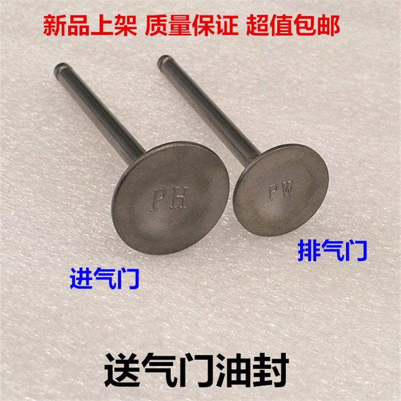 适用于五羊本田锋影凯影WH125-6-13 新锋影WY125-S气门 进排气门