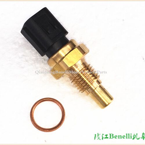 钱江倍力尼 巡航版 黄龙BJ600GS/-A/BN600i水温传感器 水温感应塞