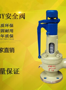 浙江双泰A48Y-16c25C40C64C 全启式铸钢法兰安全阀 弹簧式安全阀