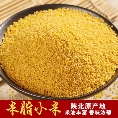陕北特产米脂黄小米油小米农家自种小米原产地包邮450克/袋