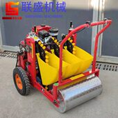 手推大蒜播种机 6行大蒜精播机 汽油自走式 大蒜播种机