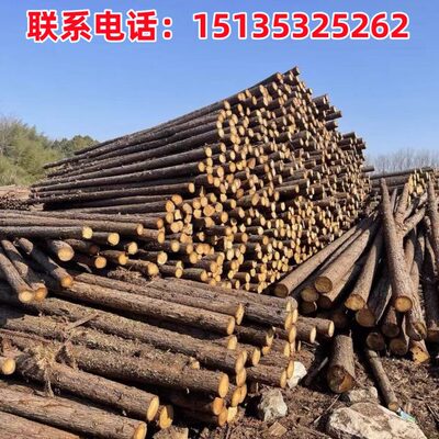 松木桩杉木桩河道打桩木绿化支撑杆落叶松油松户外防汛带皮原木桩