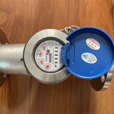 埃美柯光电直读式不锈钢壳远传水表LXSY-E(304)MBUS485工业水表