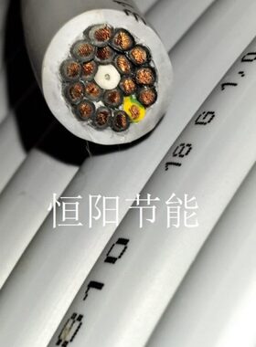 德国缆普18芯1平方电缆线进口电源线设备控制拖链耐油810高柔18G1