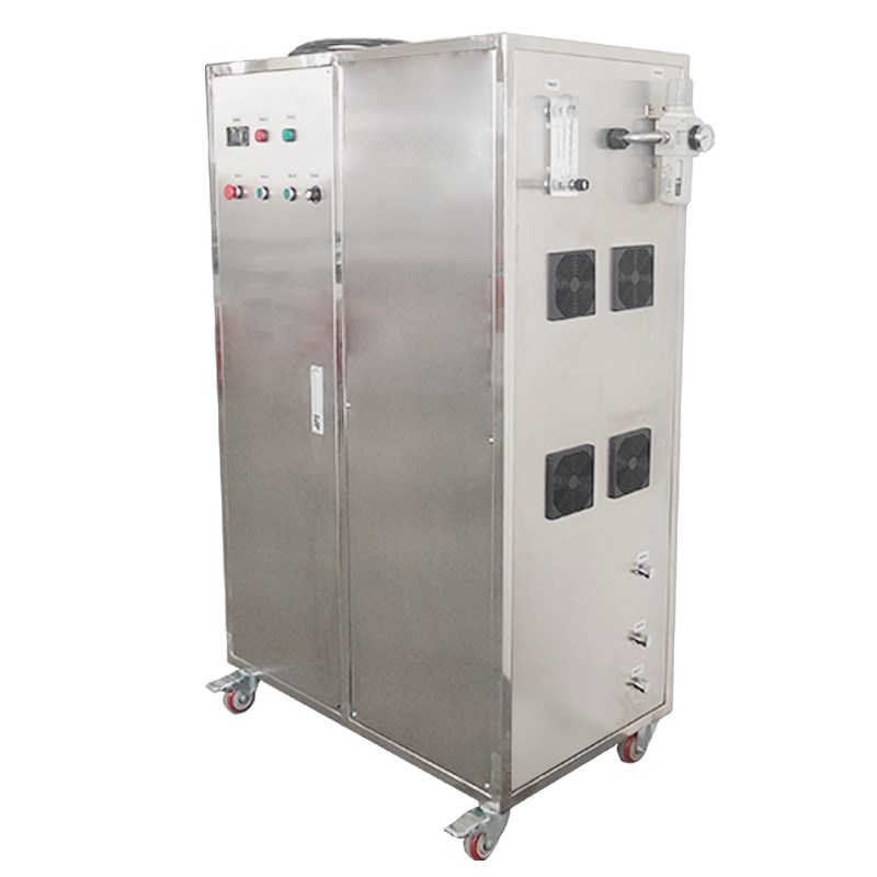 200G空气源氧气源臭氧发生器食品厂房空间消毒杀菌养殖污水处理