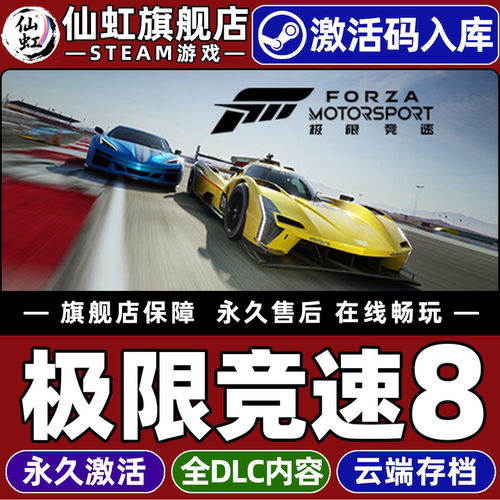 Steam极限竞速8激活码CDKey