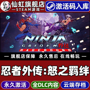 Steam正版忍者外传:怒之羁绊激活码CDKey入库全球区国区NINJA GAIDEN Ragebound全DLC电脑PC单机动作冒险游戏