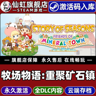 SEASONS Town 激活码 Mineral Friends STORY CDKey入库全球区国区 牧场物语：重聚矿石镇 Steam正版