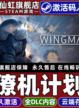 Steam正版僚机计划 激活码CDKey入库全球区国区 Project Wingman 全DLC电脑PC单机模拟飞行喷气机  战争游戏