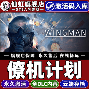 Steam正版僚机计划 激活码CDKey入库全球区国区 Project Wingman 全DLC电脑PC单机模拟飞行喷气机  战争游戏
